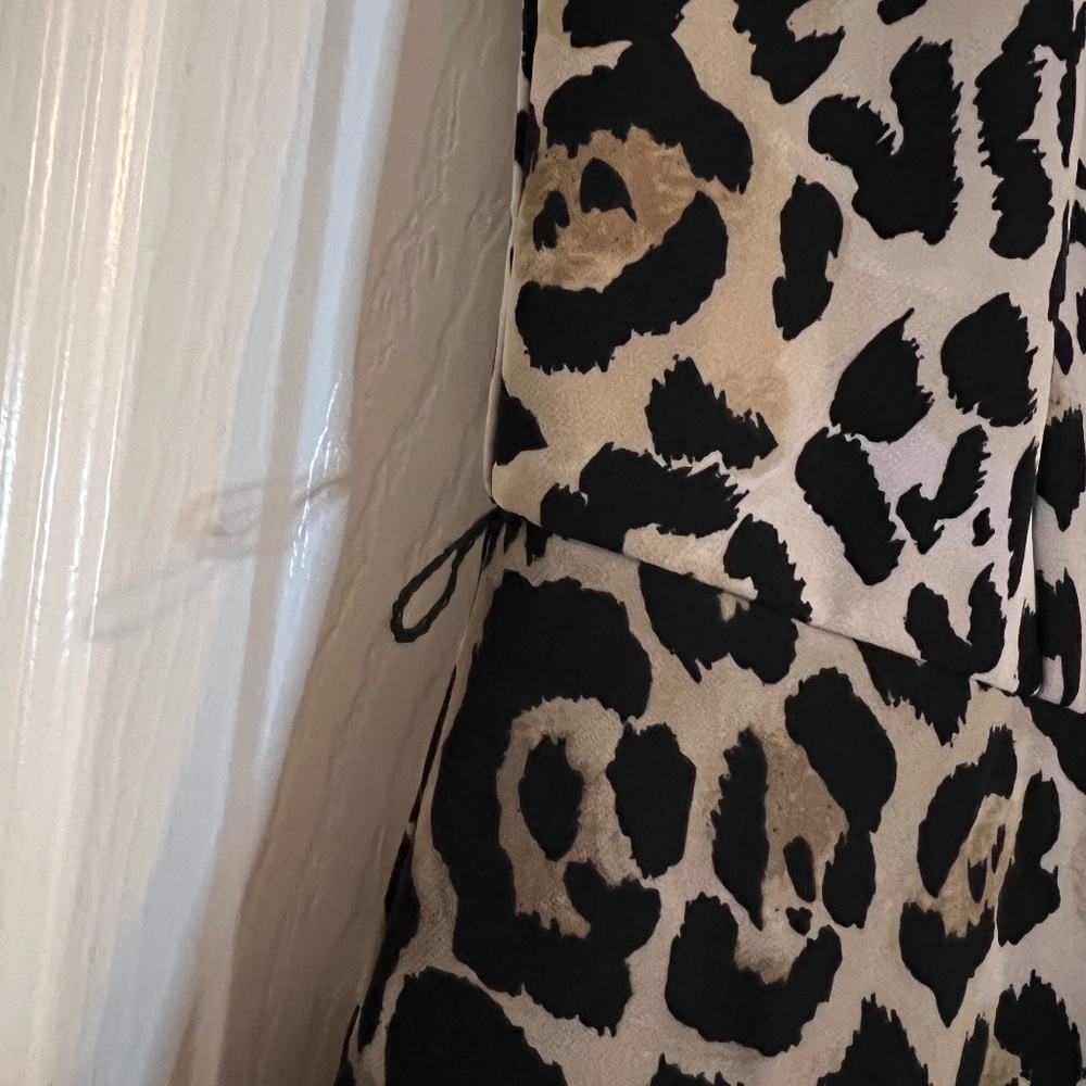 Leopard Print Dress - Picture 3 of 5